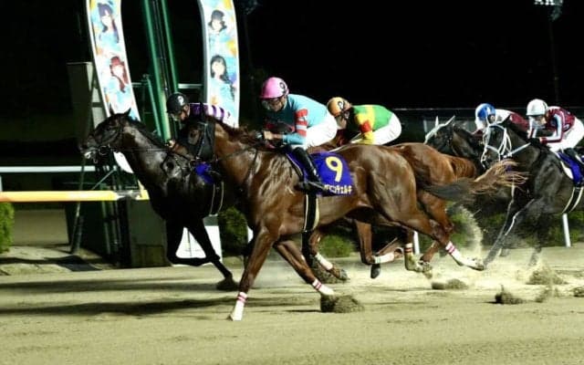 【東京盃】ヤマニンチェルキは6枠12番へ