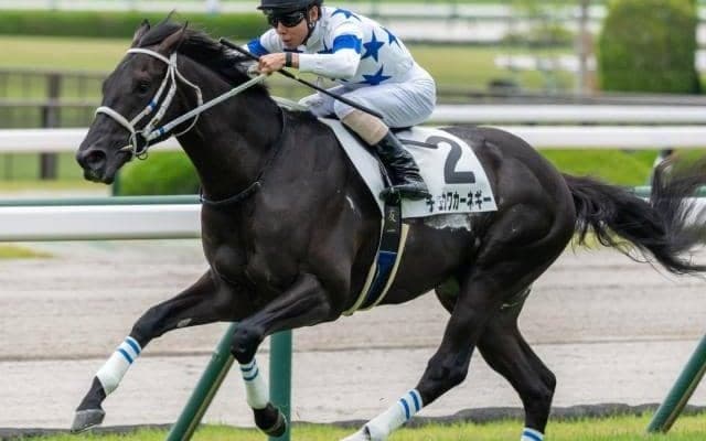 【サウジアラビアRC】昨年ワンツーのモーリス産駒 今年も強力2頭出しだ