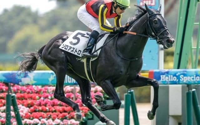 【サウジアラビアRC予想オッズ】ゾロアストロが予想1番人気