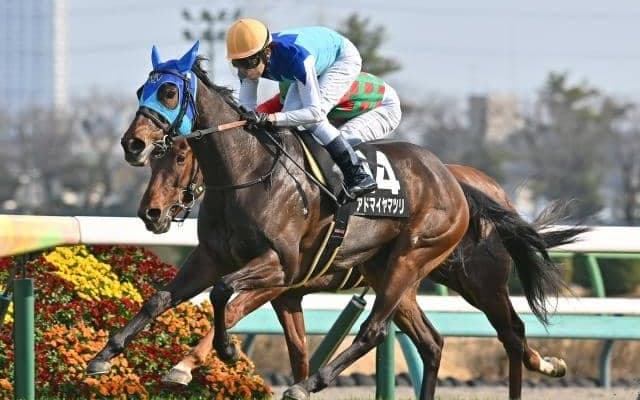 【アイルランドT予想オッズ】アドマイヤマツリが予想1番人気