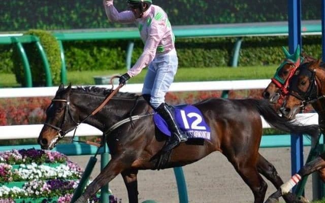 今週は第1回アイルランドトロフィー アイルランド調教馬で日本のGIを制したのは？