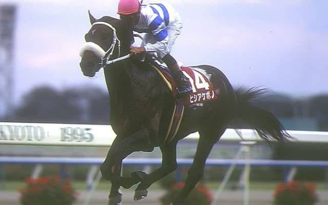 GI初Vへとつながる重賞初制覇 ヒシアケボノのスワンS勝利から30年