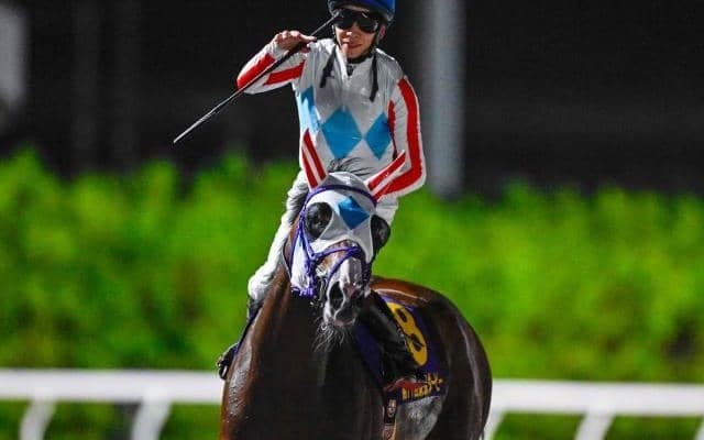 【大井・ジャパンダートクラシック注目馬】“史上初”のダート三冠なるか 他馬の台頭はあるか