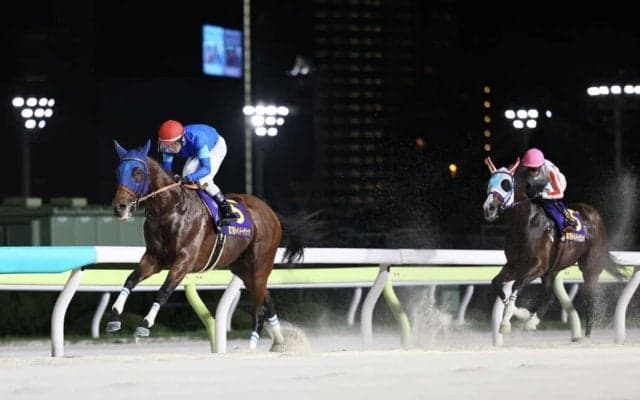 【ジャパンダートクラシック】ナルカミが逃げ切る…ナチュラルライズ三冠ならず