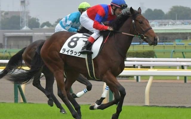 【アイルランドT予想】能力やコース適性は証明済み AIは興味深い一頭を指名