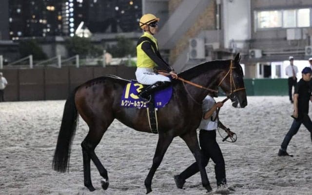 【ジャパンダートクラシック】佐々木大「右から左へ手前を替えるのが得意ではないです」帰国初戦のルクソールカフェは3着まで