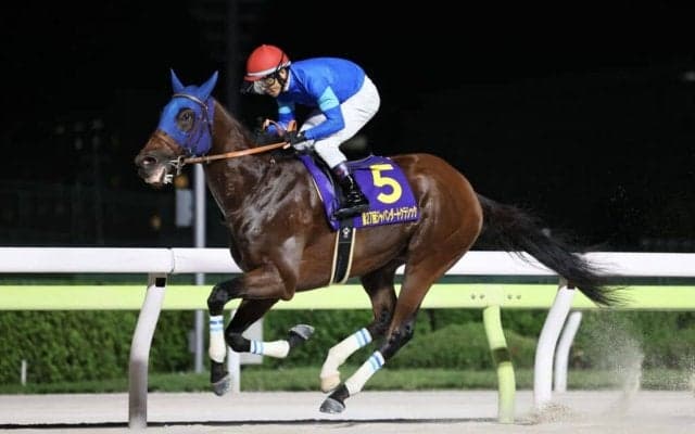 【ジャパンダートクラシック】戸崎「今後の走りにも期待」ナルカミが逃げ切って三冠阻止