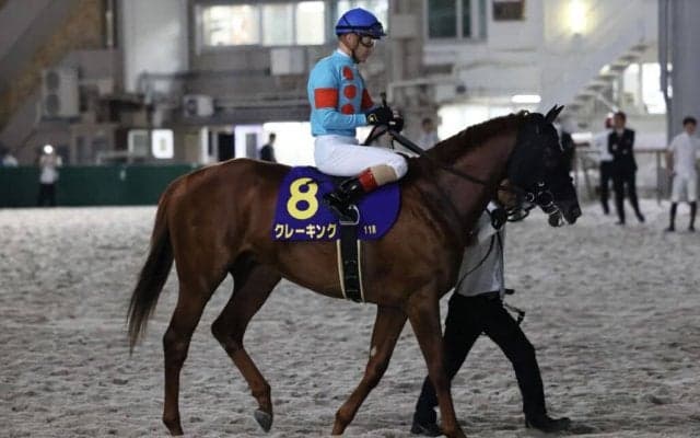 【ジャパンダートクラシック】ルメール「加速出来なかった」クレーキング