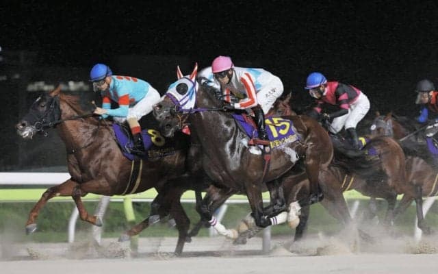 【ジャパンダートクラシック】横山武「馬は本当によく頑張ってくれました」レース後ジョッキーコメント