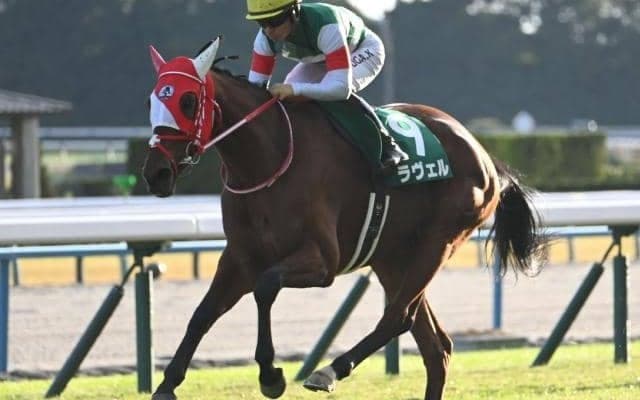 重賞2勝＆24年エリザベス女王杯で2着のラヴェルが登録抹消 ノーザンファームで繁殖馬になる予定