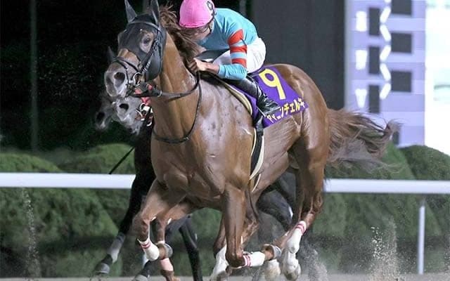 【大井・東京盃注目馬】JBCスプリントの直行切符をかけた戦い 中央、地方から快足馬が集結