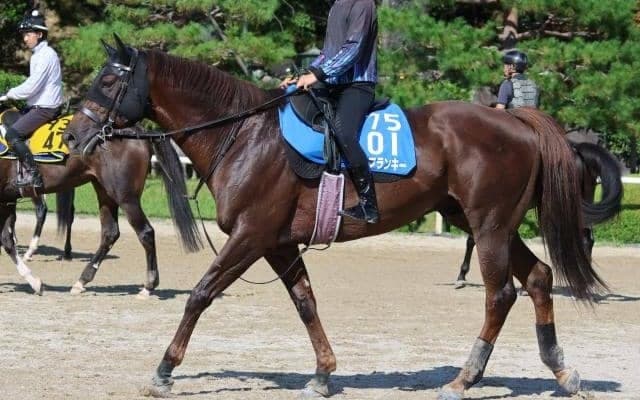 ドンフランキーなど、先週の入厩情報/栗東トレセンニュース