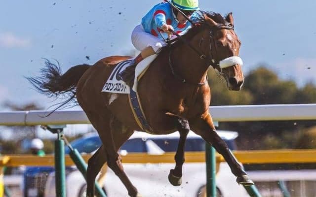 母は名牝アーモンドアイ アロンズロッドが8カ月ぶりの復帰戦だ