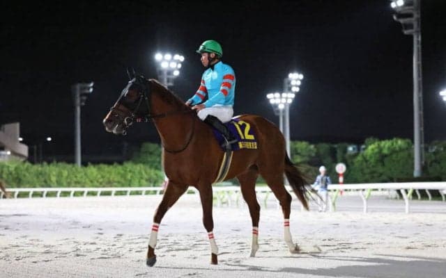 【東京盃】岩田望「まだまだ強くなる」ヤマニンチェルキが交流重賞3連勝