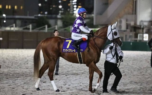 【東京盃】池添謙「一瞬で交わされてしまった」サンライズアムールは3着まで