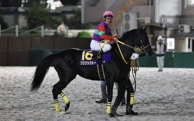 【東京盃】戸崎「最後はいい伸びでした」クロジシジョー重賞4度目の2着