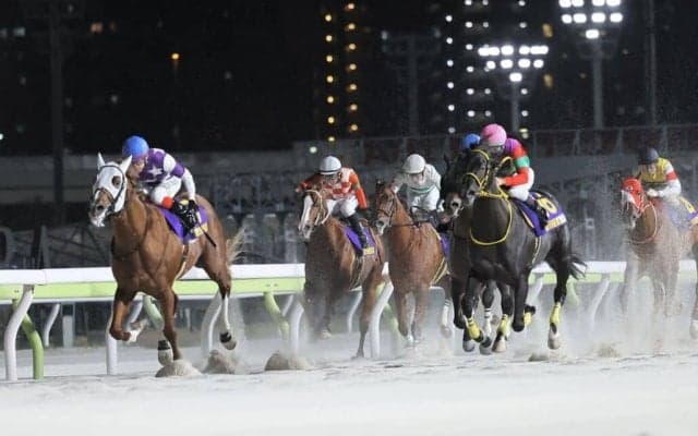 【東京盃】岩田望「次も自信をもって挑める」レース後ジョッキーコメント