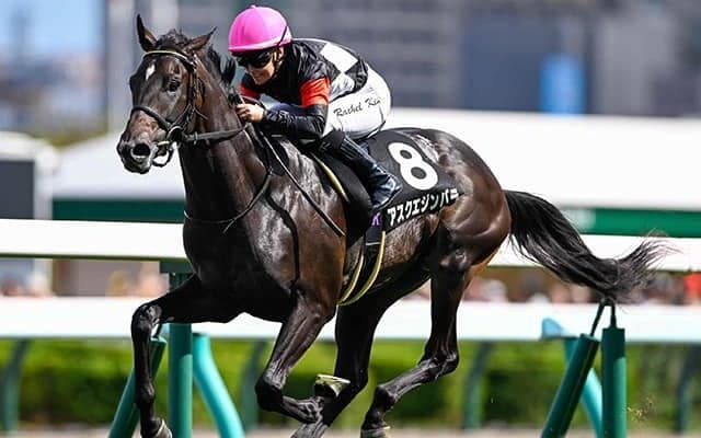 【サウジアラビアRC枠順確定】アスクエジンバラは3枠3番、ゾロアストロは5枠5番