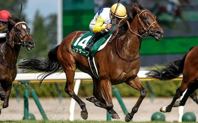 【アイルランドT枠順確定】カナテープは4枠7番、セキトバイーストは6枠11番