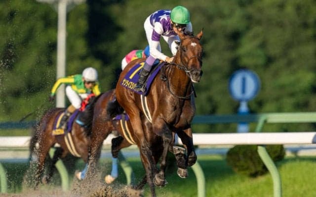 武豊騎手 今週の騎乗馬、盛岡・南部杯に参戦…サンライズジパングとのコンビ