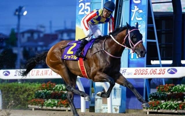 【盛岡・南部杯枠順】JpnI連勝中のシャマルは4枠7番、昨年2着のペプチドナイルは5枠10番