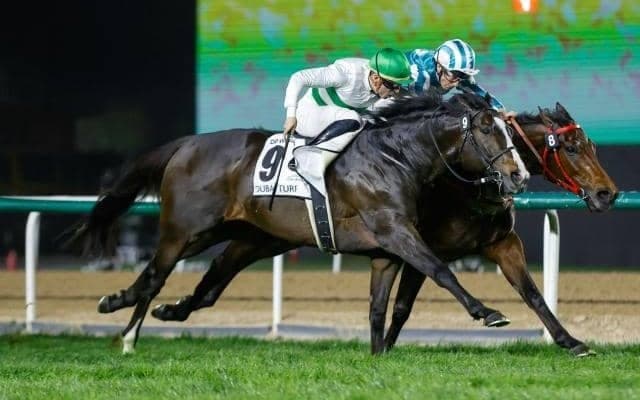 【富士S想定馬・騎手】ソウルラッシュ、ジャンタルマンタルなど14頭