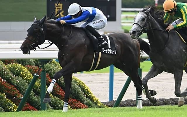 【紫菊賞結果】ロードラヴォールが競り合いを制し、レコードで無傷2連勝