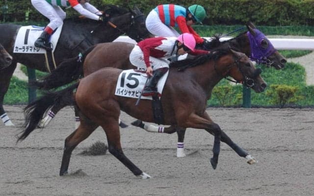 【東京8R】パイシャオピンが人気に応える…谷原柚希のタマモカンパネラは2着