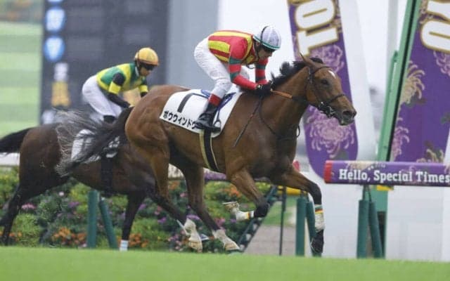 【東京7R】良血ボウウィンドウが連勝…母はフローレスマジック