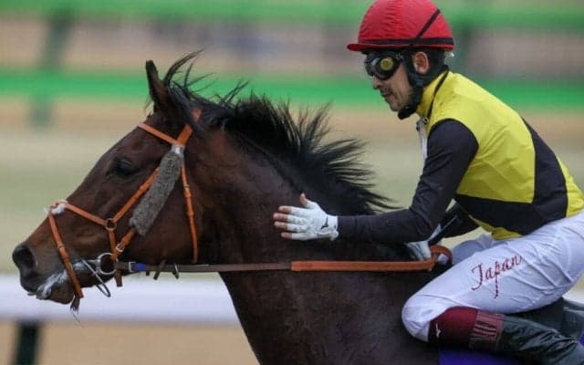 アメリカンファラオが日本軽種馬協会に導入…2026年に静内種馬場で供用予定