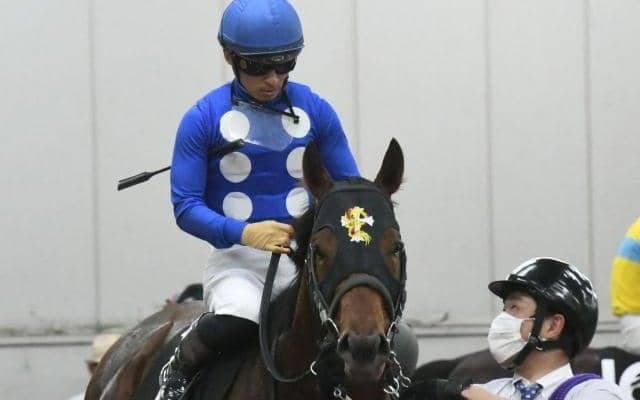 京都ダートは米国血統が狙い 太秦Sは京都ダ1800m巧者の伏兵を狙い撃ち