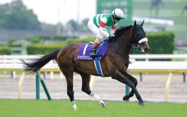 【南部杯見どころ】中央の精鋭と地方の雄が激突…初ダート・シックスペンスも参戦へ