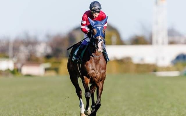 【今日の注目ポイント】東京でエリザベス女王杯の前哨戦アイルランドT