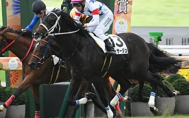 【京都5R新馬戦結果】ヴィサージュが追い比べを制す 藤岡佑介騎手はJRA通算1100勝達成