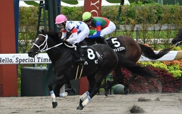 【太秦S結果】ハピが直線一気でV 約3年5か月ぶりの勝利