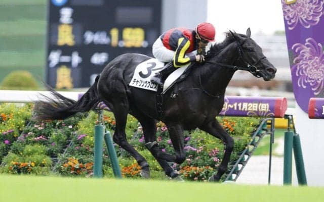 【東京3R】クロワデュノール全弟 チャリングクロスが初勝利