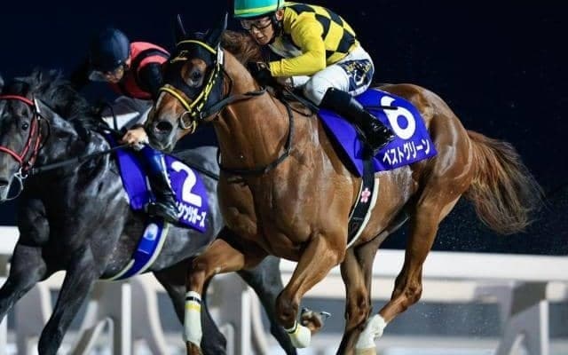 【川崎・鎌倉記念枠順】無傷3連勝中のホッカイドウ所属馬ベストグリーンは5枠5番 出走8頭