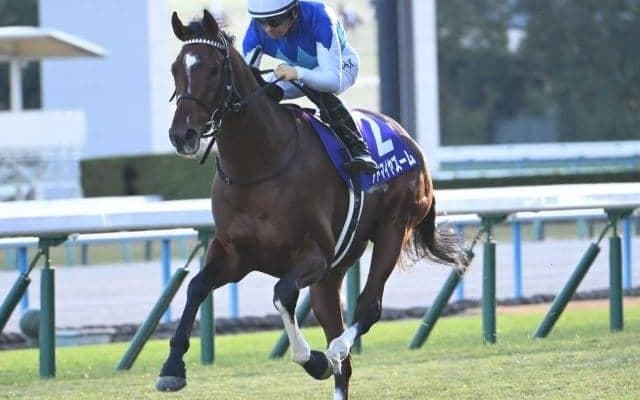 【今日の注目ポイント】京都でマイルCSの前哨戦スワンS