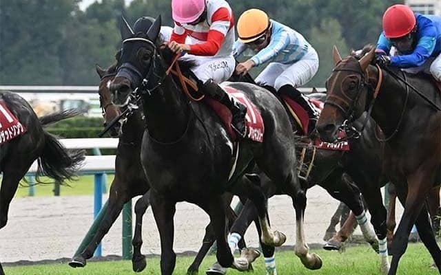 【スワンS】マイルCSへとつながる重要な一戦 近年は波乱傾向ながら複勝率100％の騎手に注目