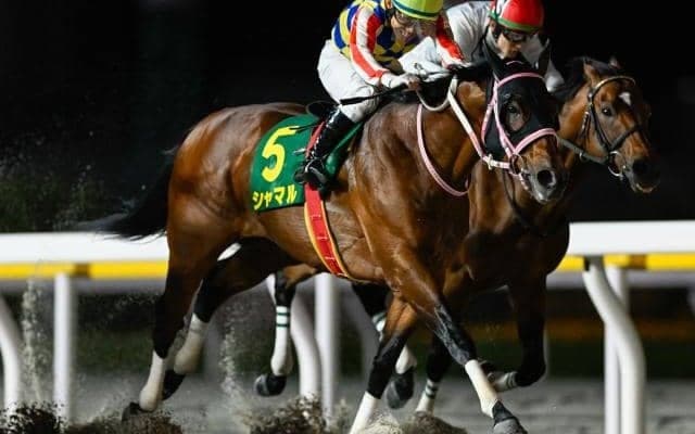 【盛岡・南部杯注目馬】岩手競馬の大一番 秋のダートマイル王者決定戦に16頭