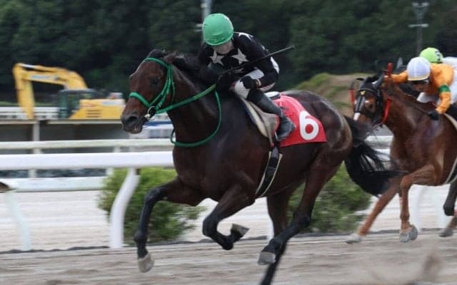 【高知・横浜特別】ブルーシンフォニー、40戦目で鮮やか5勝目…中団から突き抜け快勝