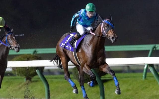 【ネクストスター盛岡】ラウダーティオが人気に応え3勝目…岩手2歳戦線の主役に