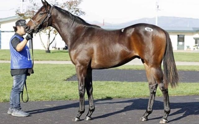 2025オータムセール第1日目 最高価格は「ハッピーユーゲントの2024」で950万円