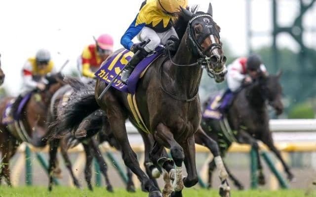牝馬三冠の最終戦・秋華賞など3重賞/今週の競馬界の見どころ