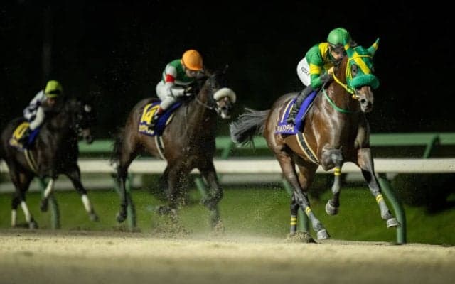 【南部杯】23億円超で売上レコードを記録