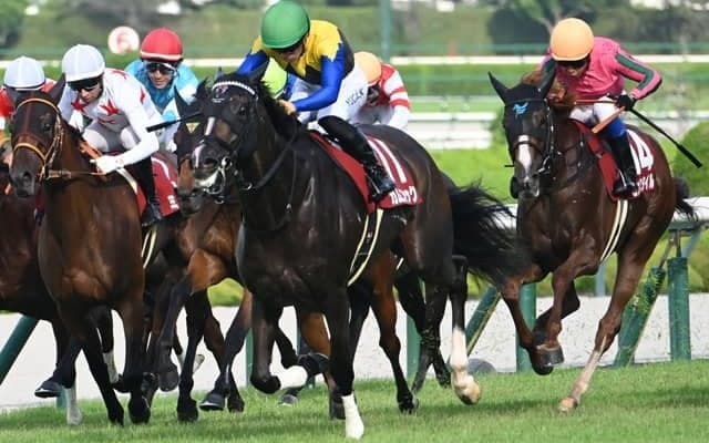 【秋華賞見どころ】二冠へ向けて視界良好のカムニャック