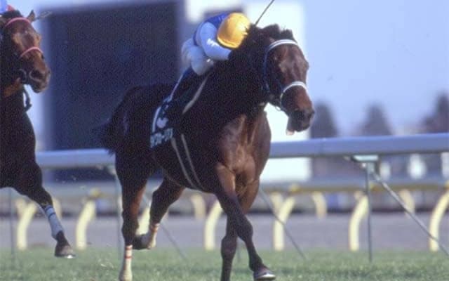 ダイワカーリアンの逃げ切り 富士Sが1600mになって25年
