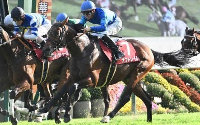 【スワンS】売上は77億5608万9200円で昨年より約38億円増加 今年から開催時期が2週早まる