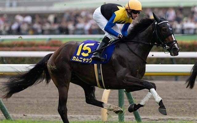 秋華賞は内枠奇数番には厳しいレース？ 1番枠と3番枠の勝利なし