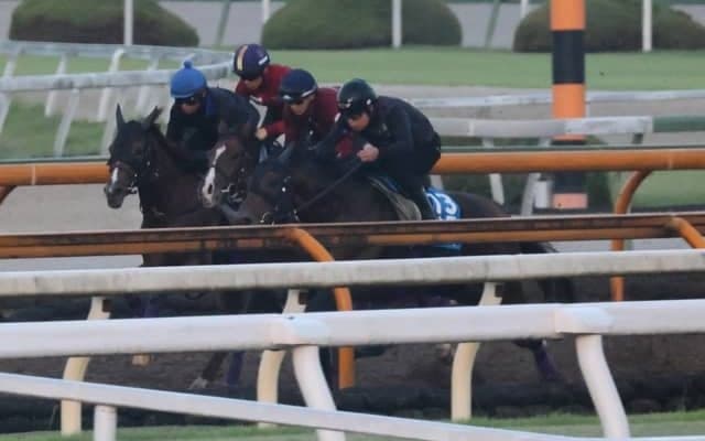 追い切りの手応え秀逸 アドマイヤクワッズが土曜東京で初陣/関西馬メイクデビュー情報